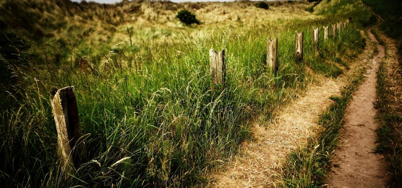 Lee más sobre el artículo Mapa de extranjerización de tierras: “Son zonas estratégicas para el desarrollo del país”