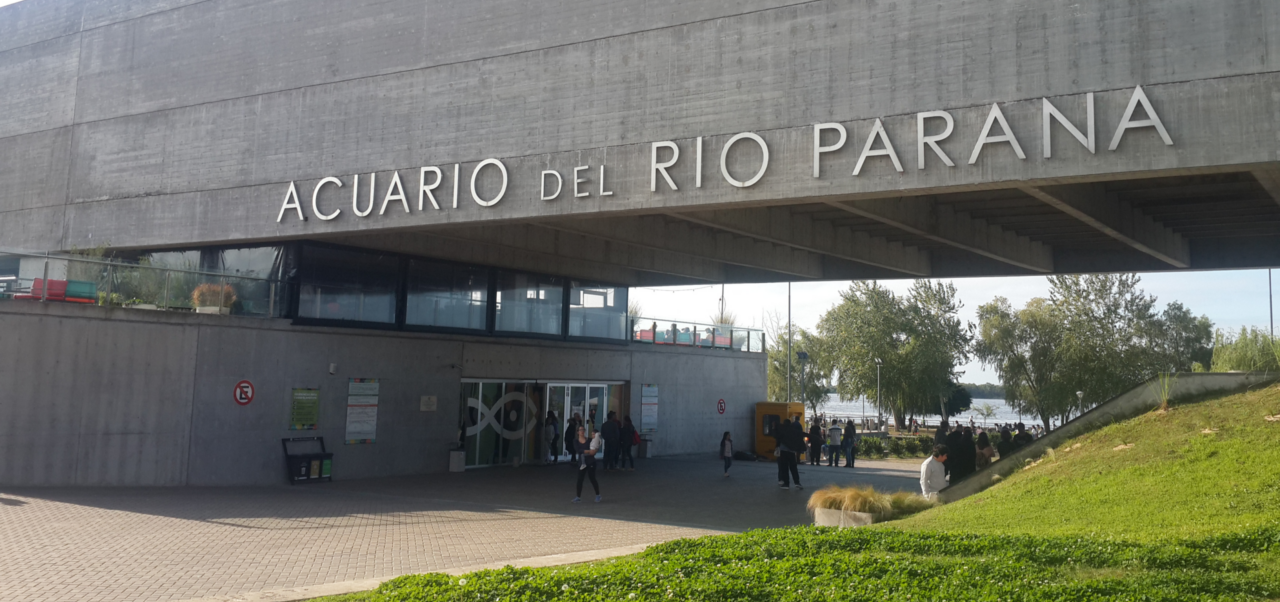 Lee más sobre el artículo El Acuario del Río Paraná celebra sus 8 años con recital, feria y actividades gratuitas