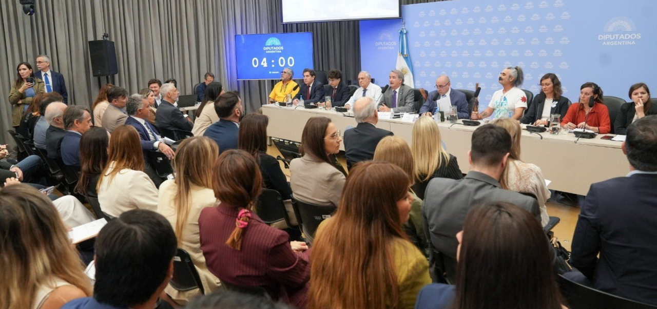 Lee más sobre el artículo “Se quiere retroceder en la protección de los glaciares”, advirtieron desde la UNR en las audiencias públicas