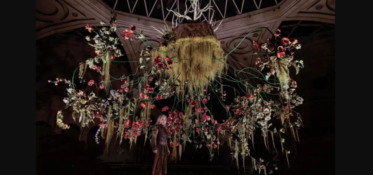 Lee más sobre el artículo Inverso: cuando miramos la naturaleza desde otro lugar