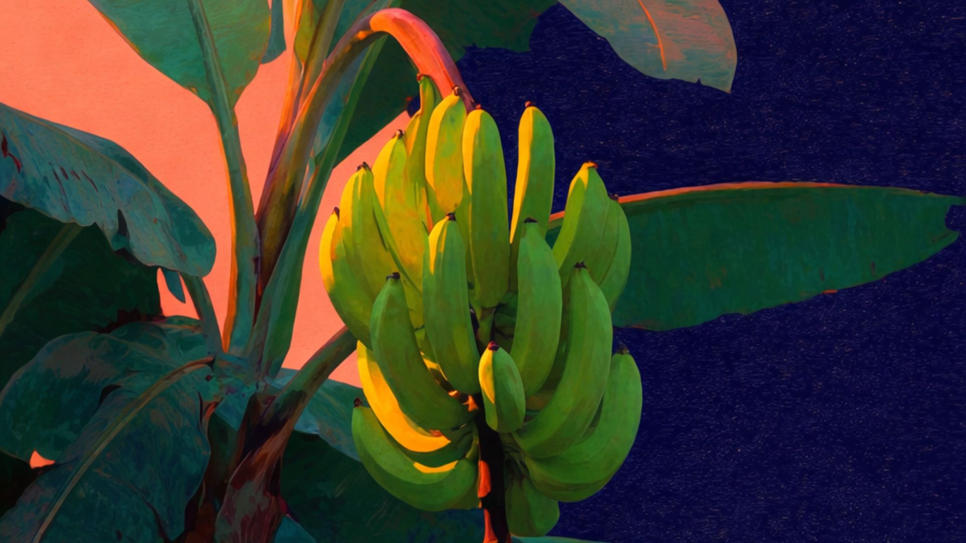 Lee más sobre el artículo Sara Trejos y los secretos detrás de “Bananaverso”