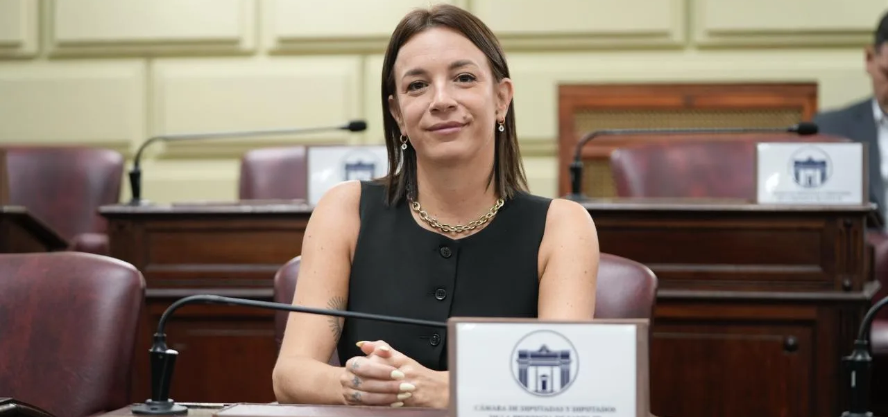 Lee más sobre el artículo Moratorias para luz, agua e impuestos: buscan aliviar a familias endeudadas en Santa Fe