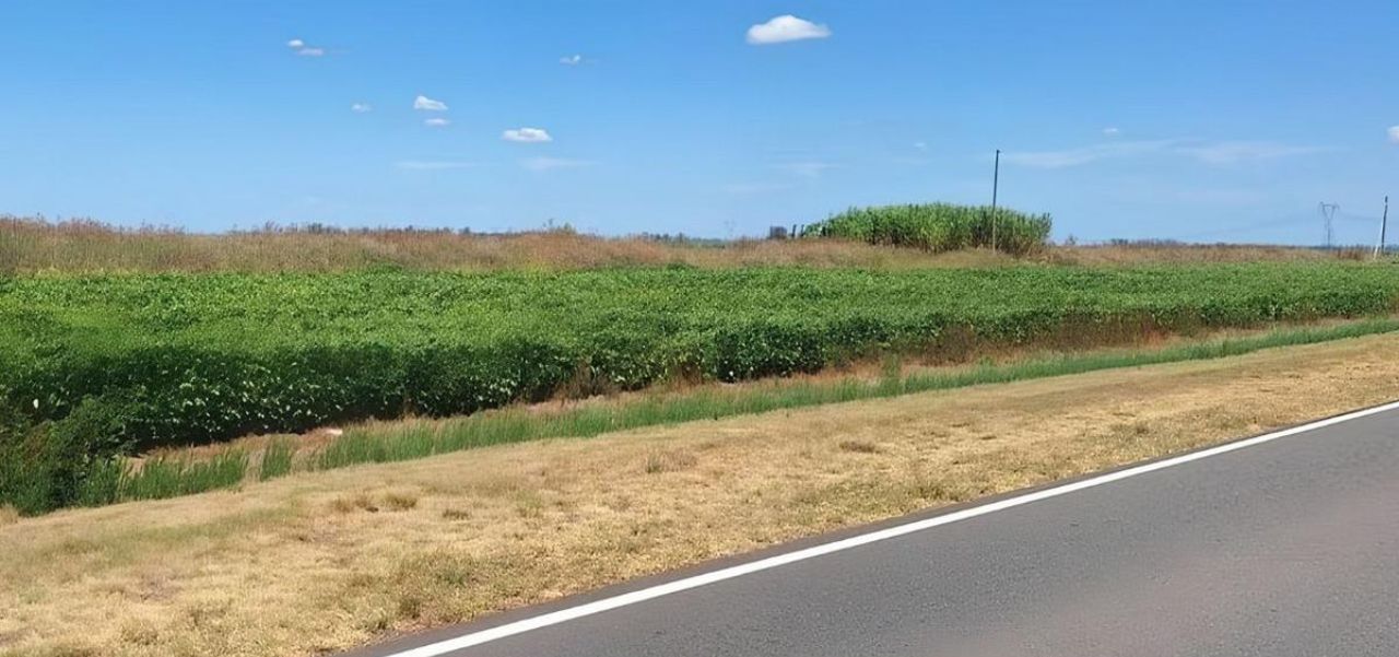Lee más sobre el artículo ¿Qué Argentina queremos para 2050? Agro, minería, energía y el futuro del territorio
