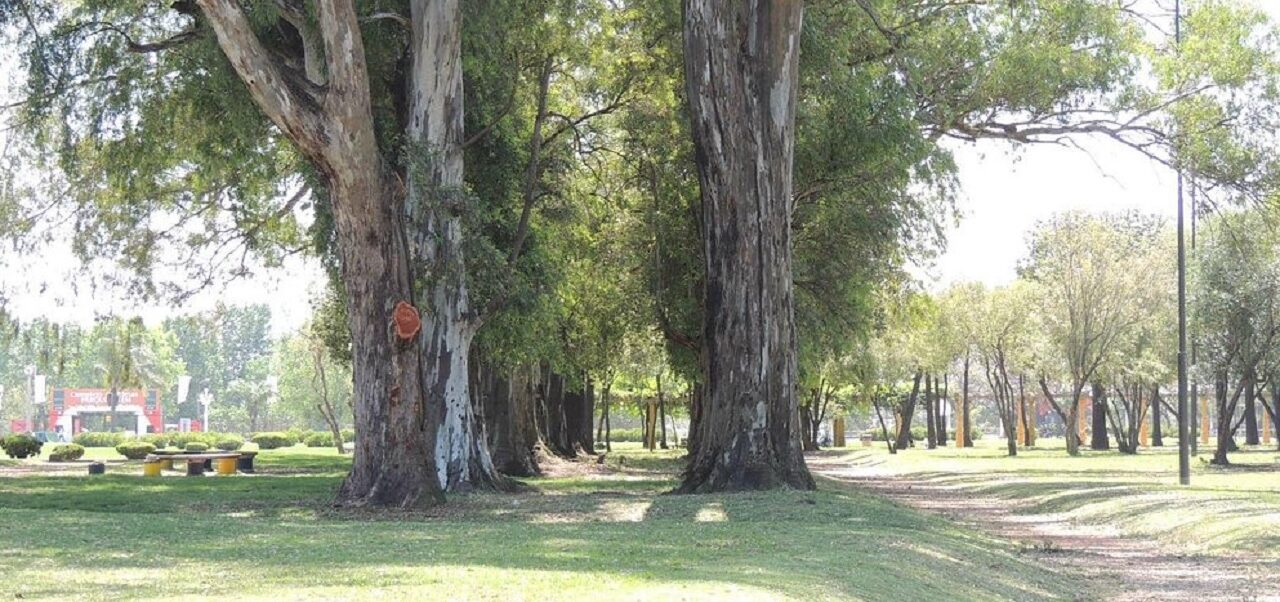 Lee más sobre el artículo El Parque Alem que casi no fue: la historia del ambicioso proyecto que buscó transformar Rosario