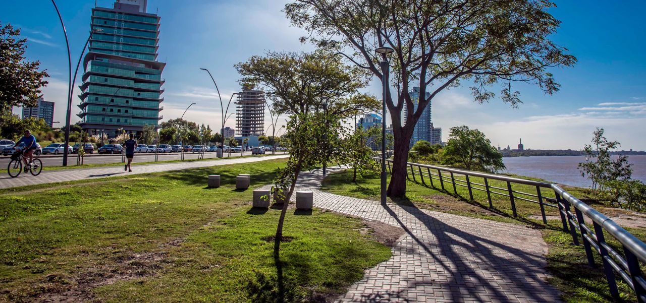 Lee más sobre el artículo Seguridad vial: por qué las decisiones del Estado también generan riesgos